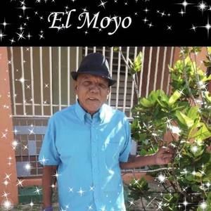 Meet your Posher, Yolanda